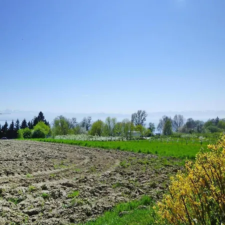 Vakantiehuis By Constance With Alpine Views Immenstaad am Bodensee